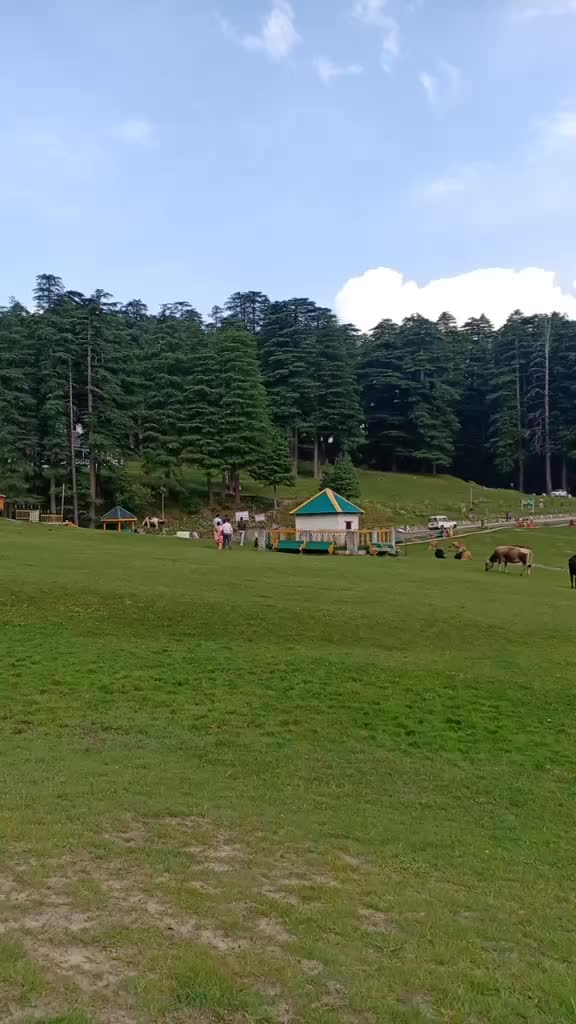 @Pammu Sharma