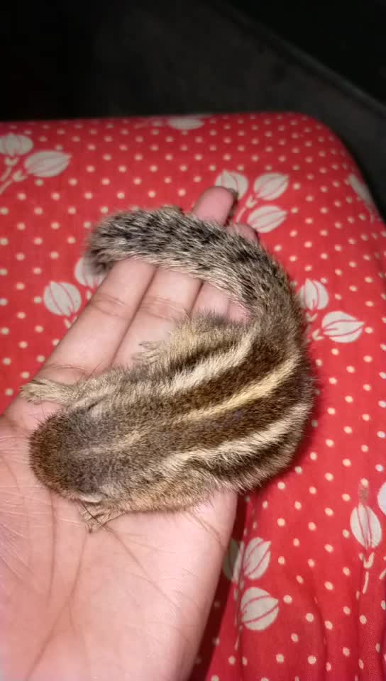 @🥰misti_mou🥰