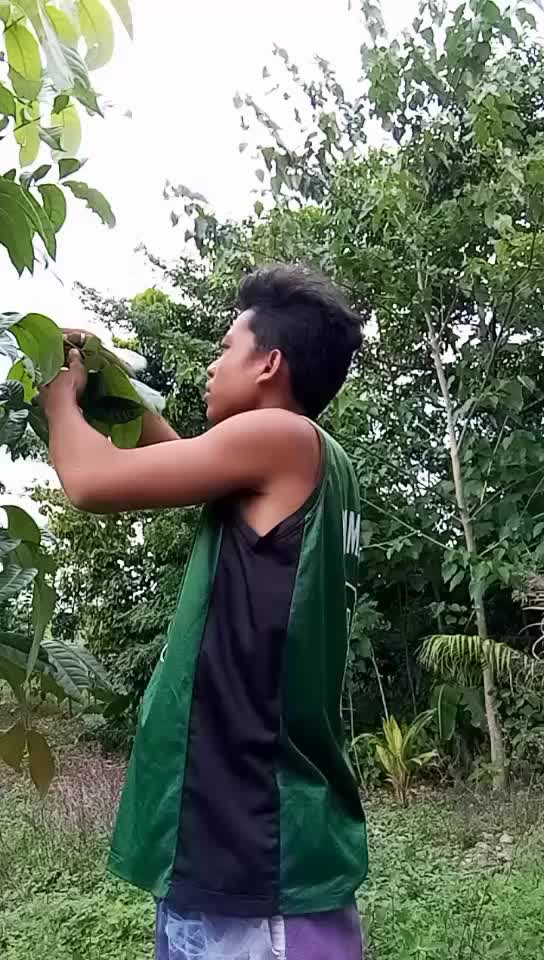 @villamorvenz
