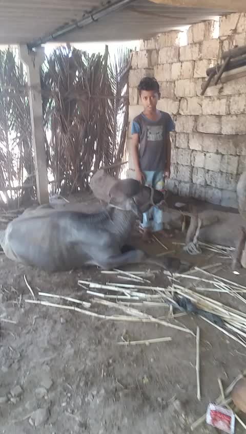 @Raghu Bambhaniya
