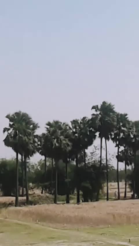 @md iradat Husain