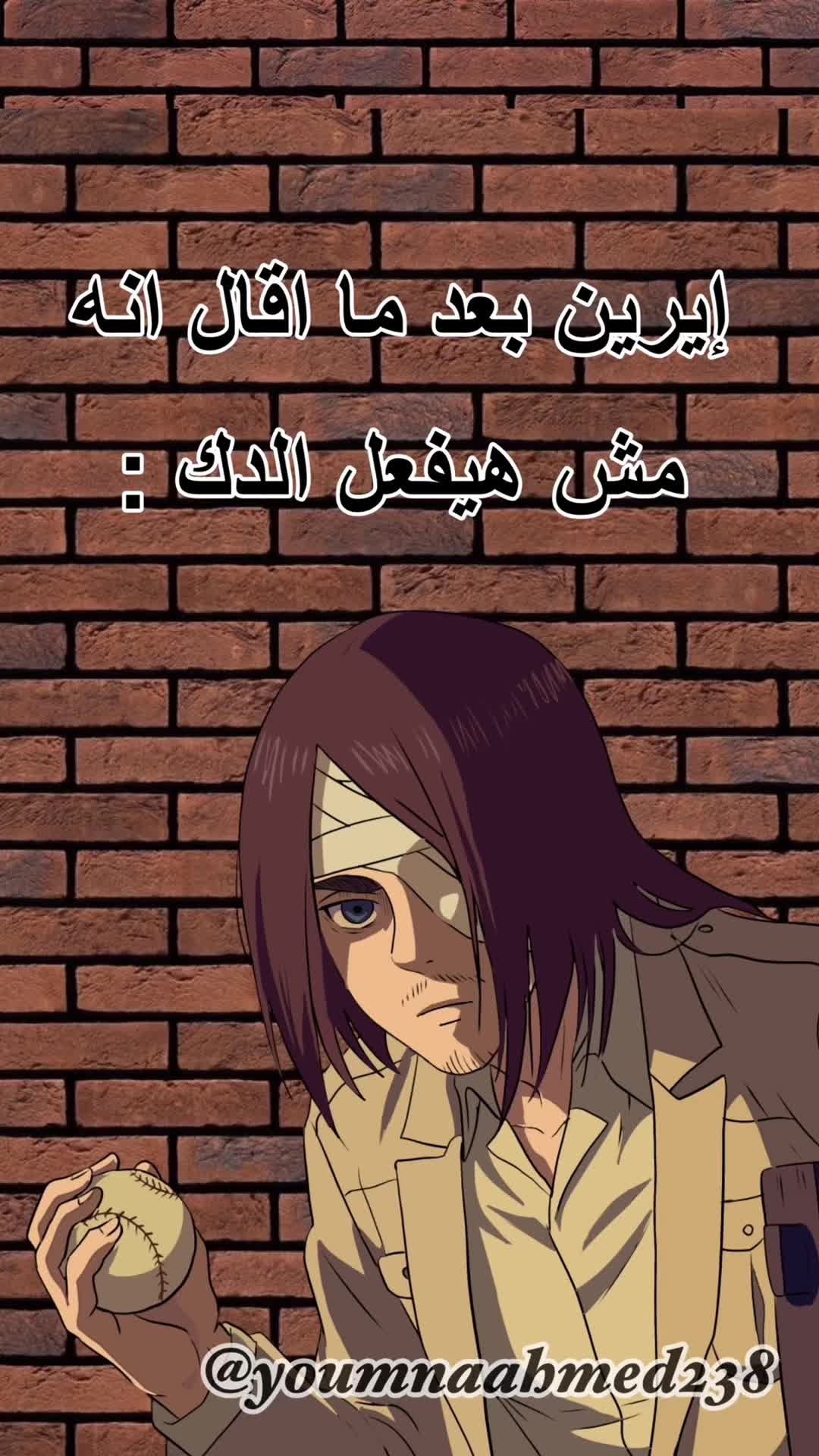 @Youmna Ahmed