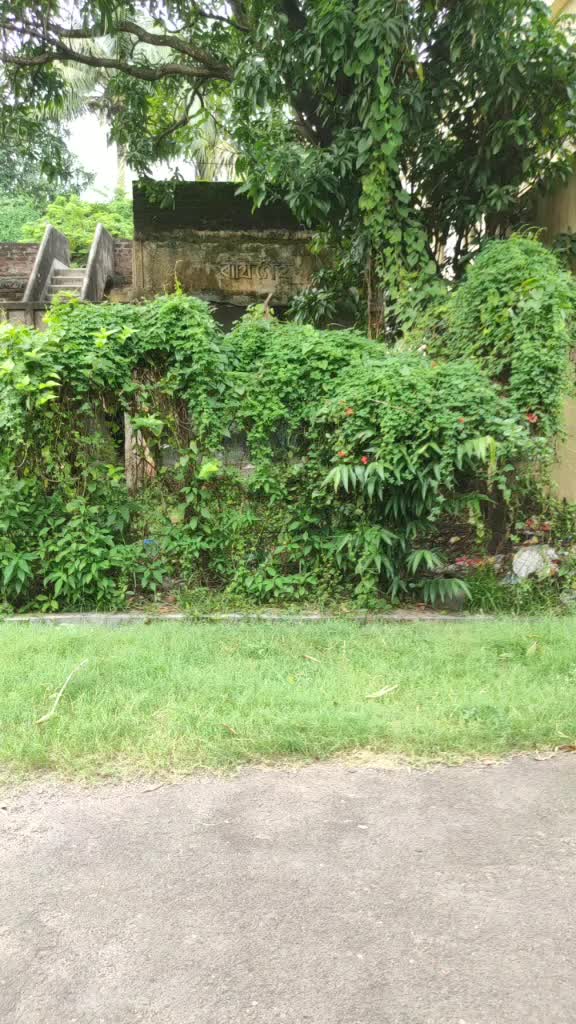 @Diya