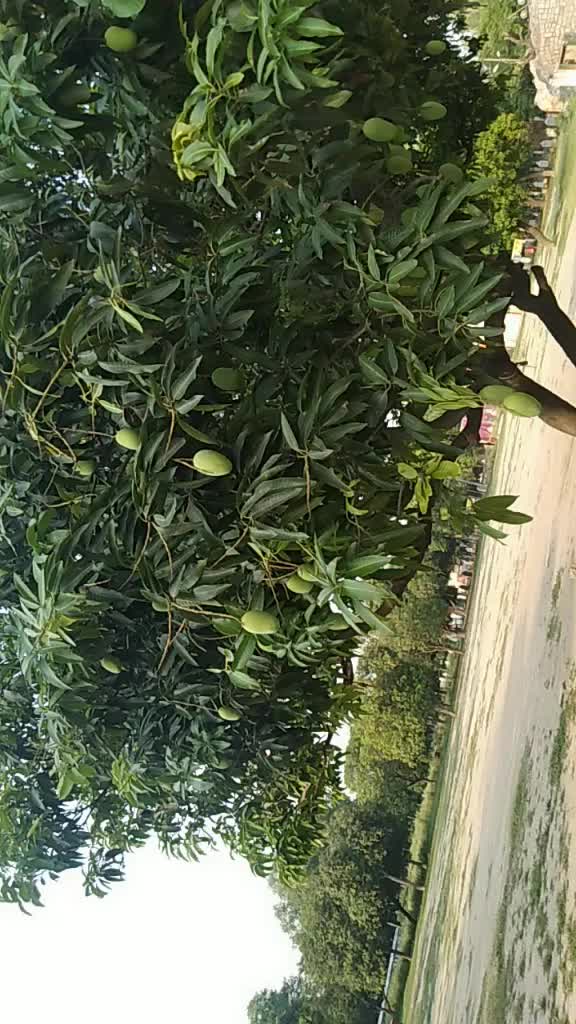 @piya sonkar
