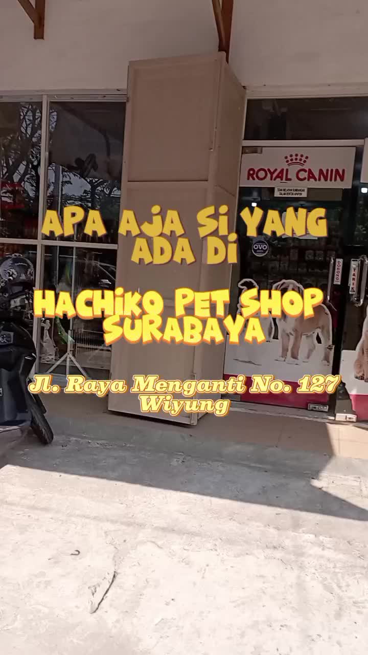 @Hachiko PetShop Wiyung