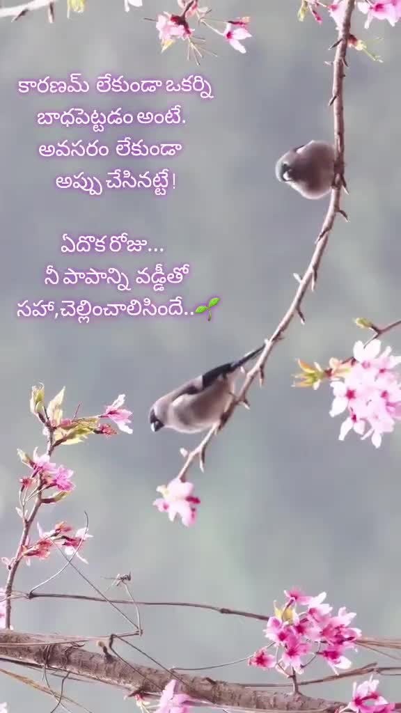 @𝓻𝓪𝓿𝓲𝓼𝓱𝓻𝓾