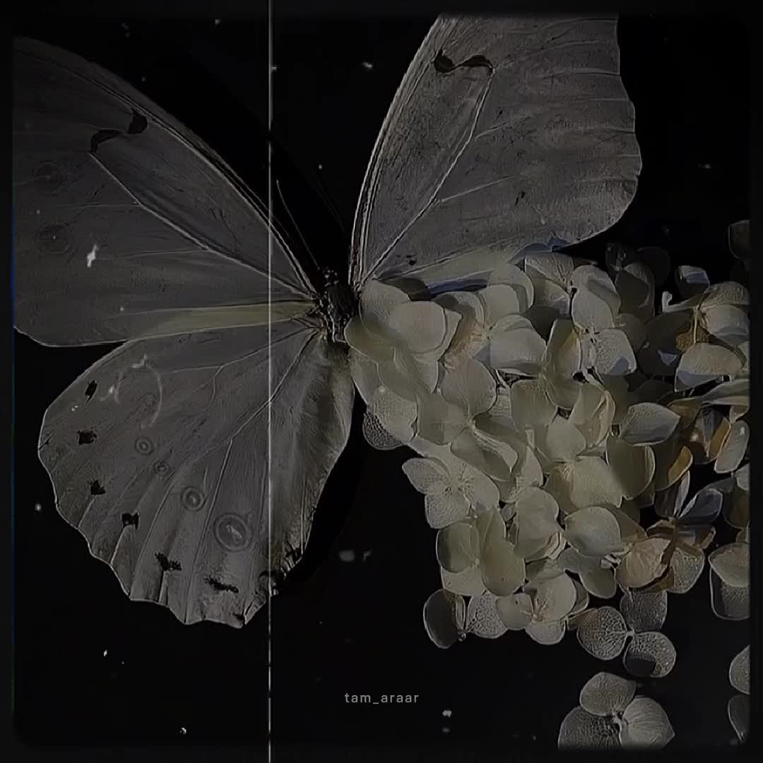 @♡