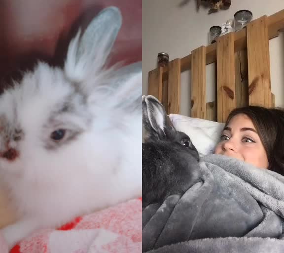 @lealuiu