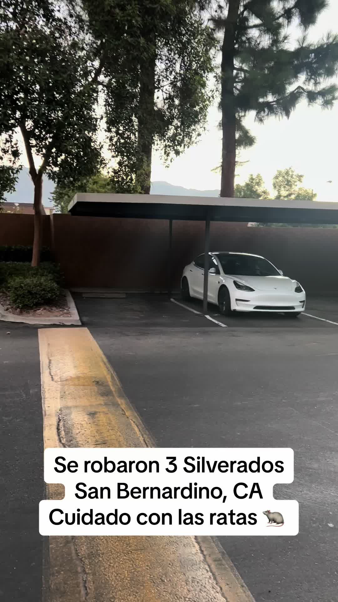 @Memo Hernandez