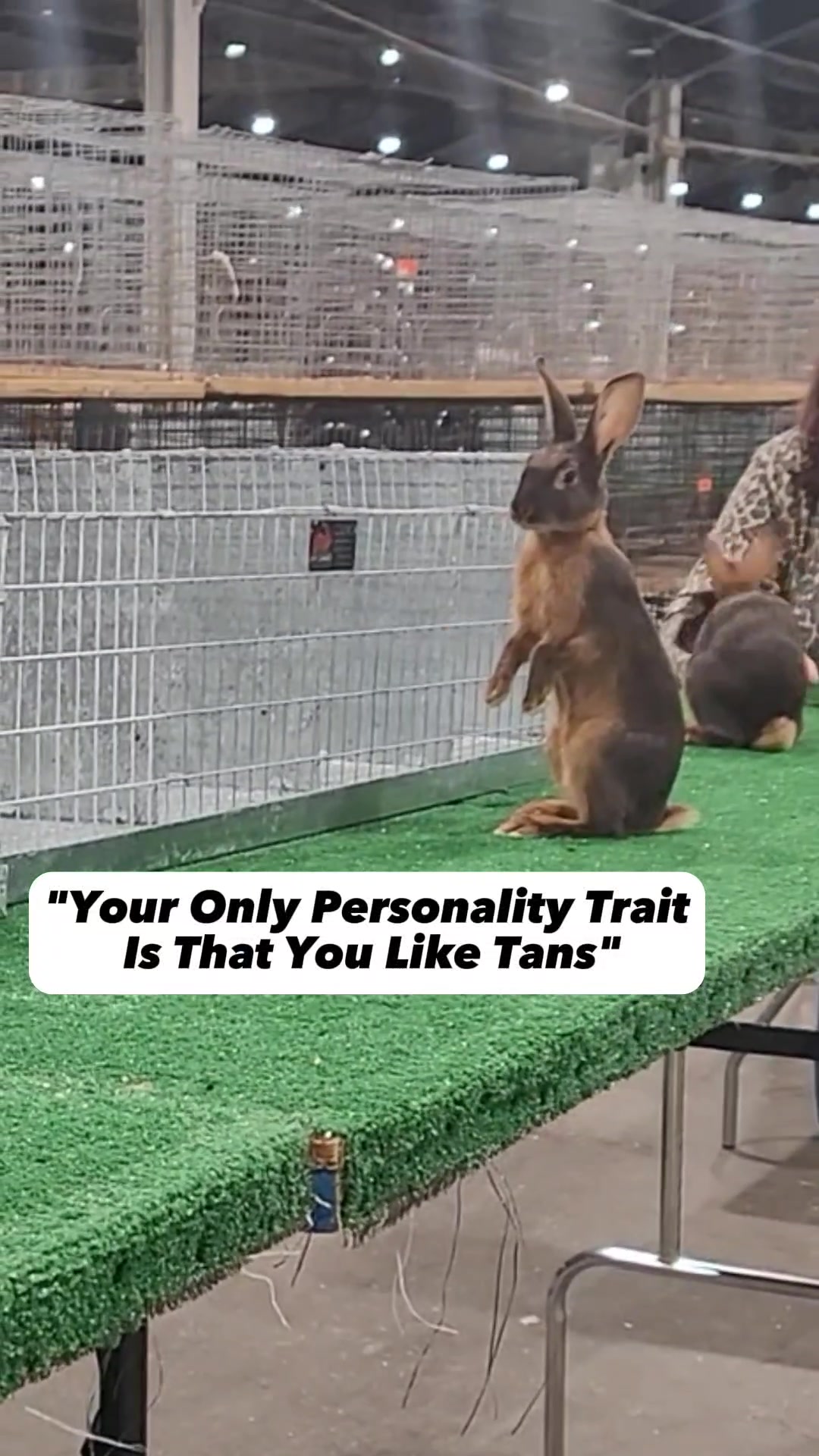 @ToT's Bunny Barn