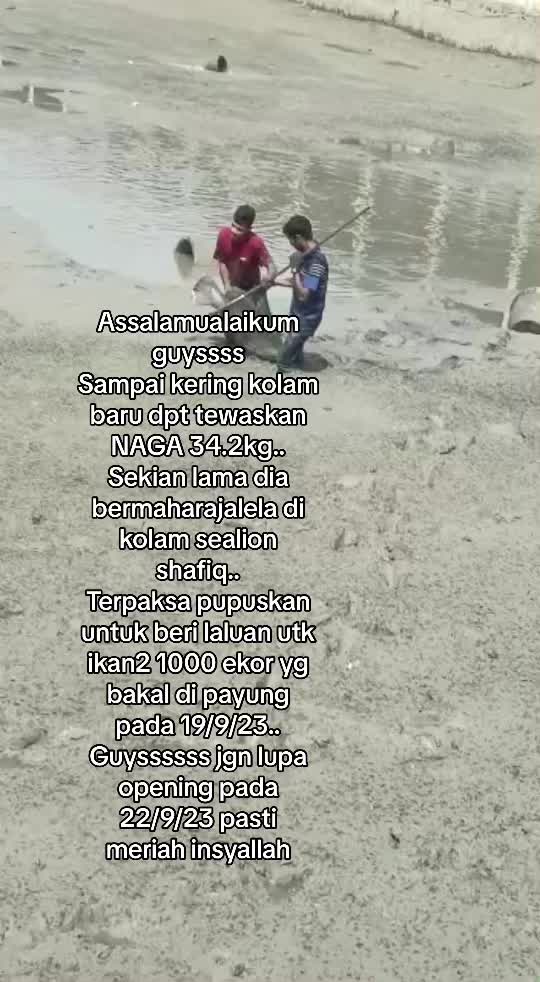 @Shafiq Sealion Fishing Sdn Bhd
