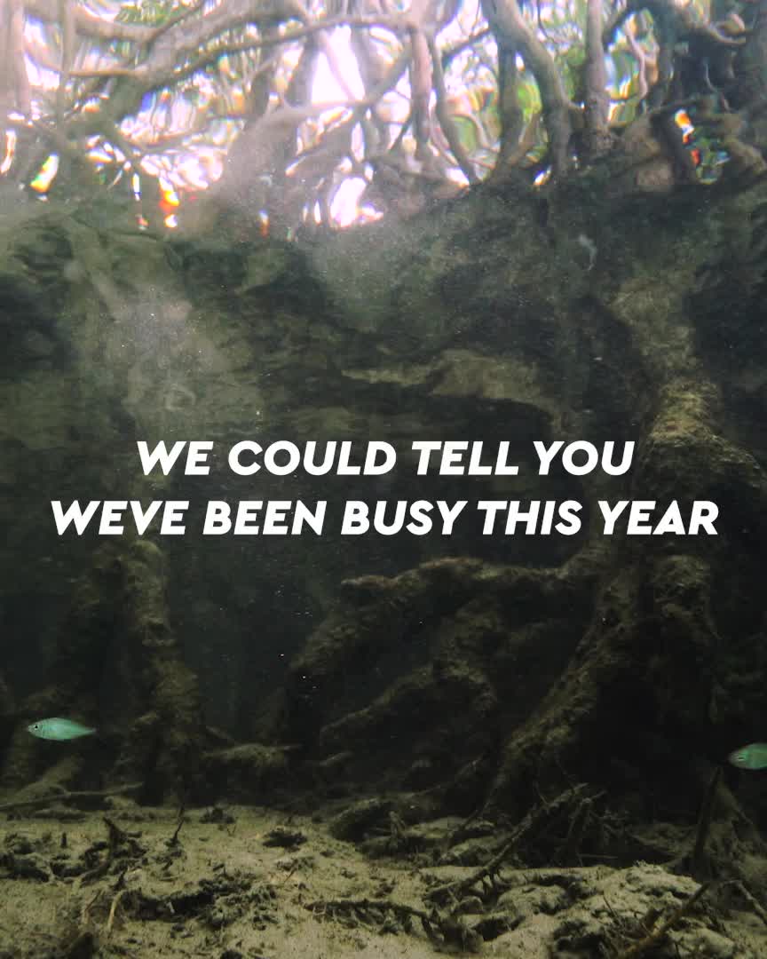 @sustainablesurf