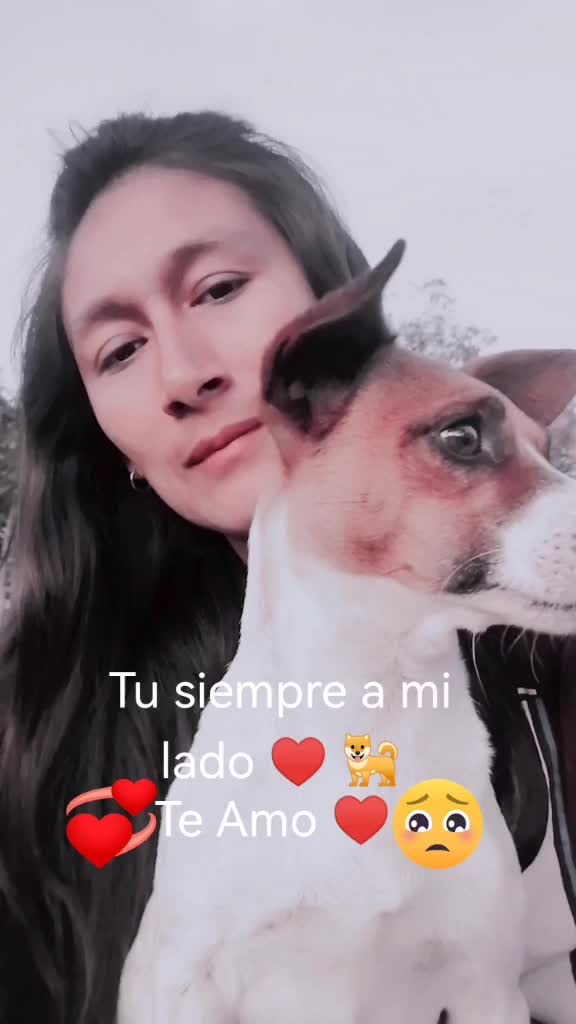 @lilianitasuarez
