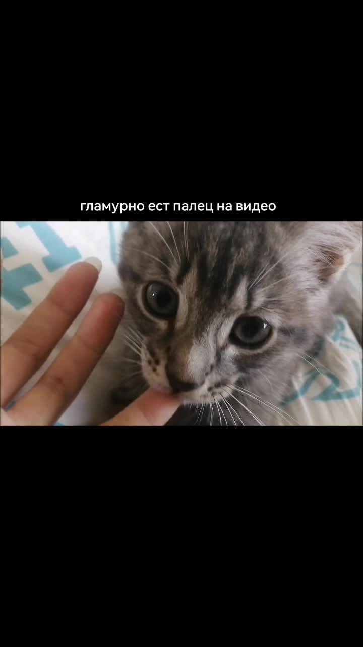 @рыжая