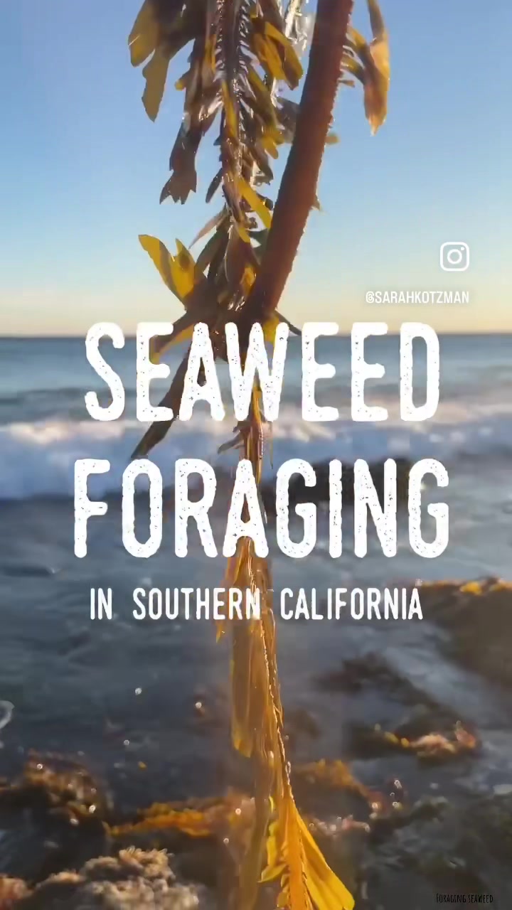 @Sarah K