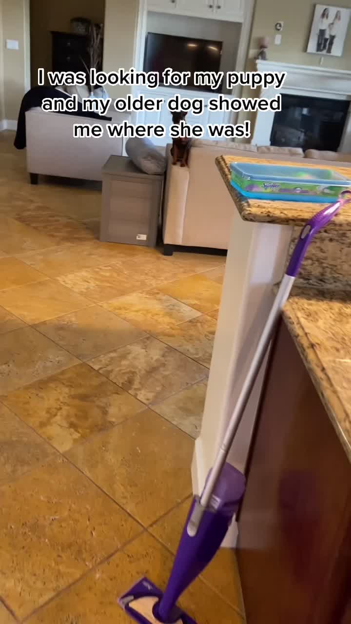 @J.R.