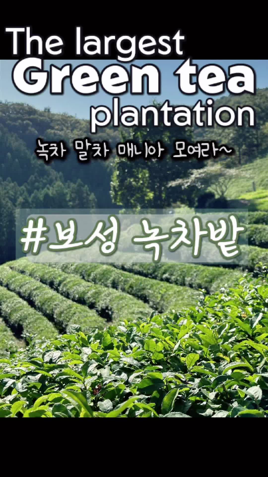 @김쏙쏙