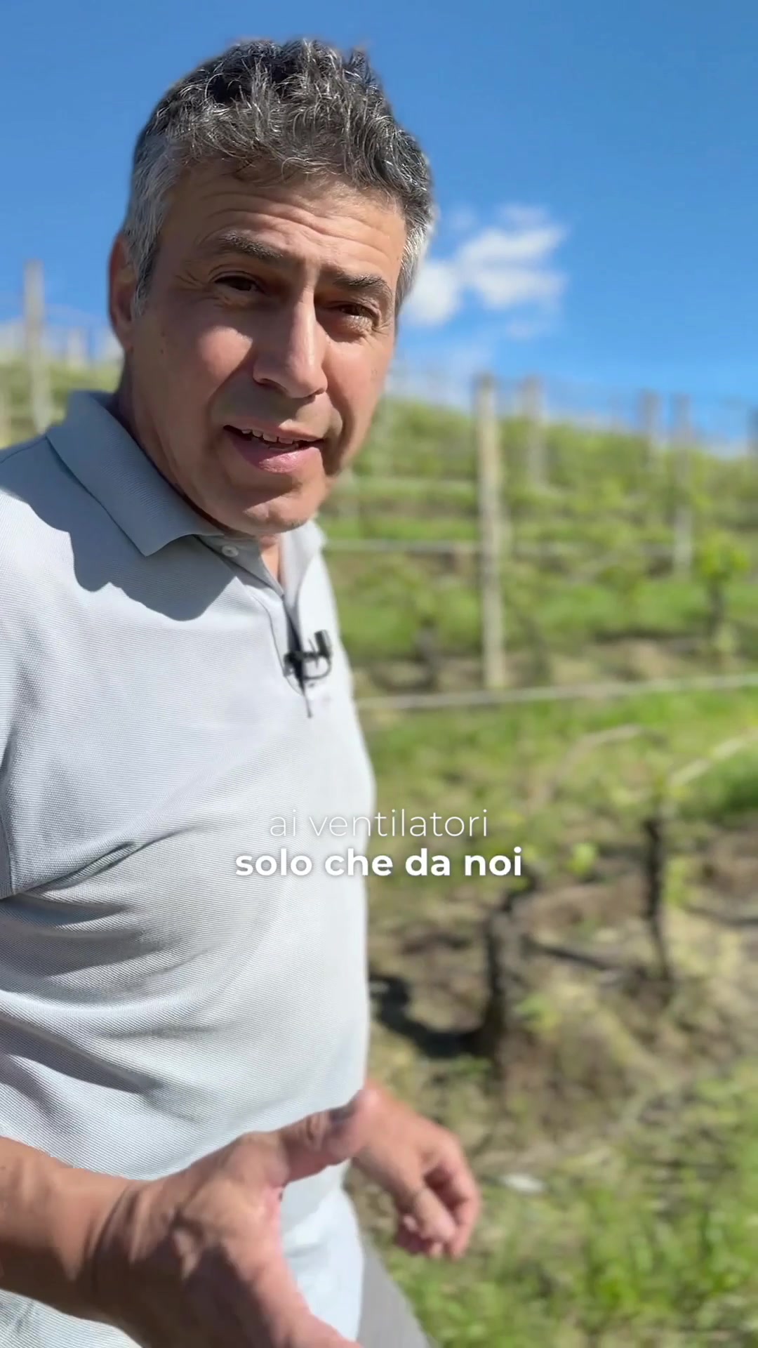 @Vite Colte