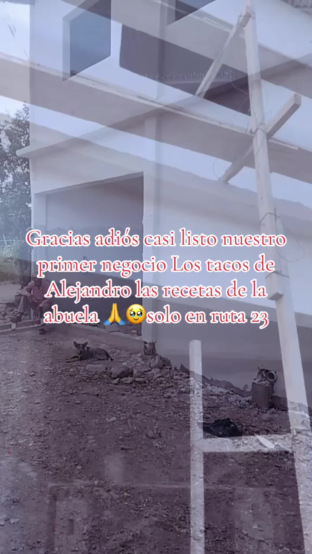 @🦋alejandromariposa2