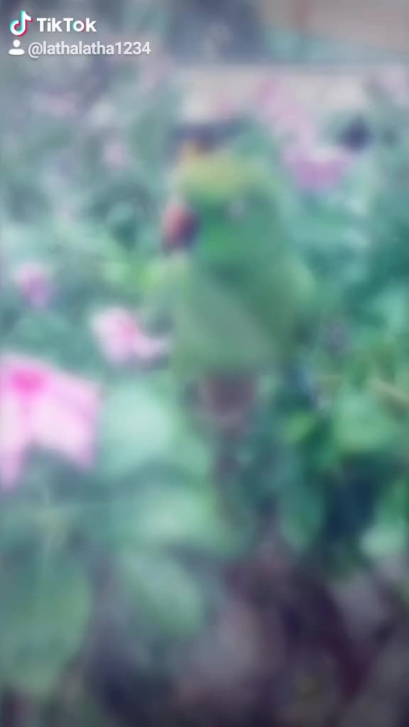 @user250876