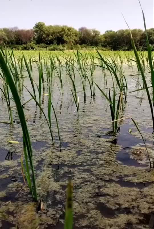 @Anil2089