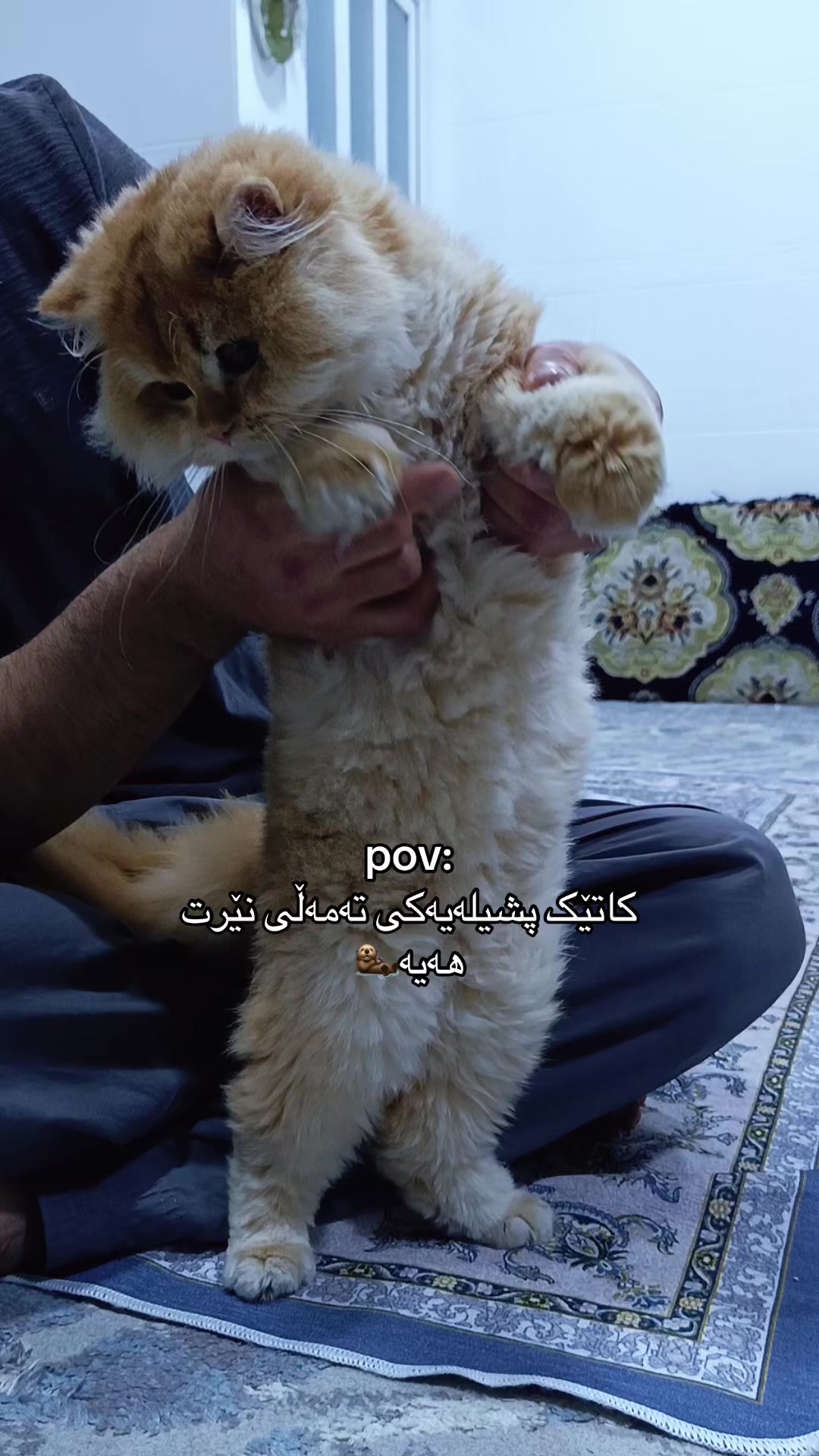 @3pshilaka