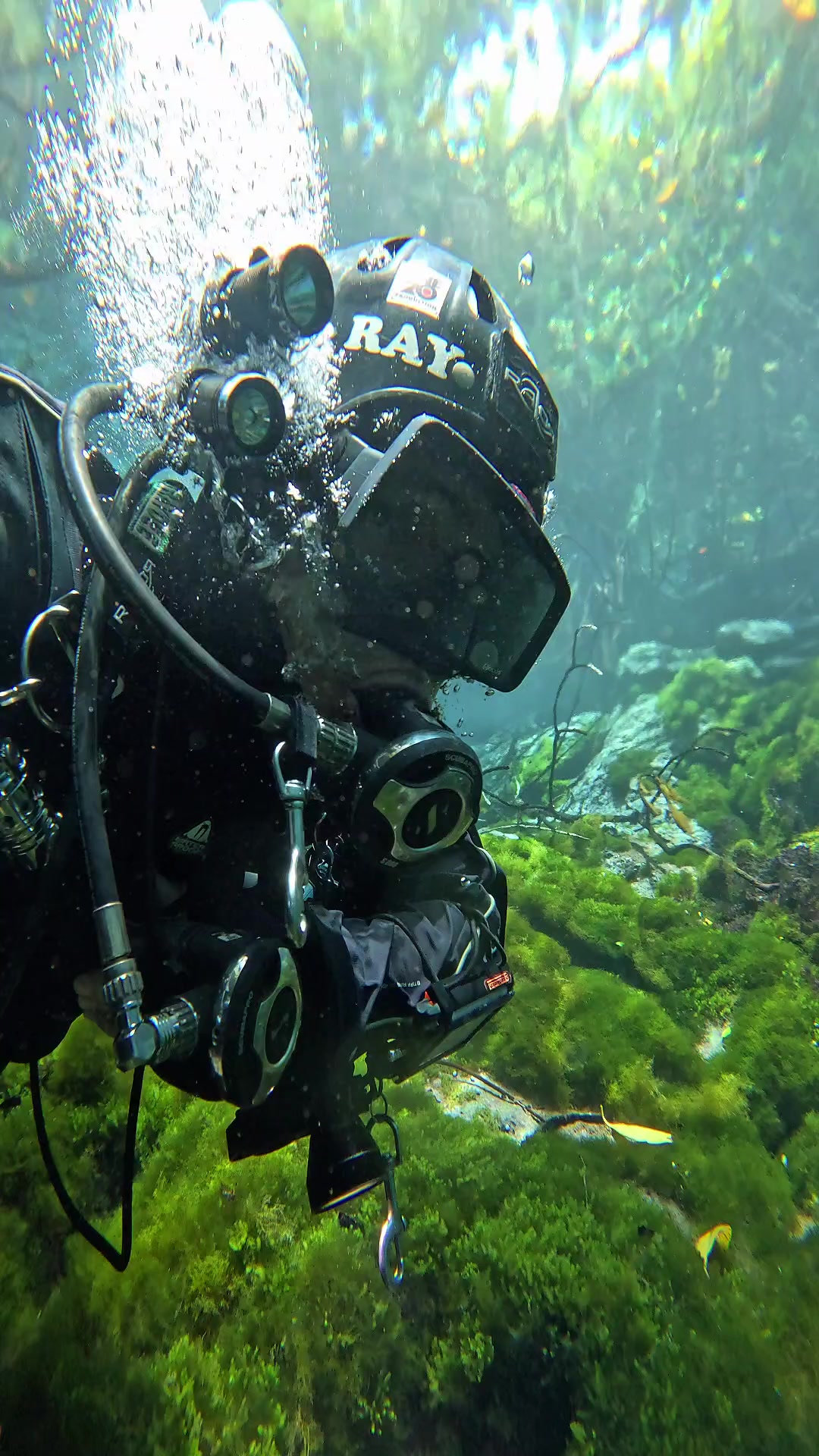 @🇵🇭Seantric Diving🇦🇪