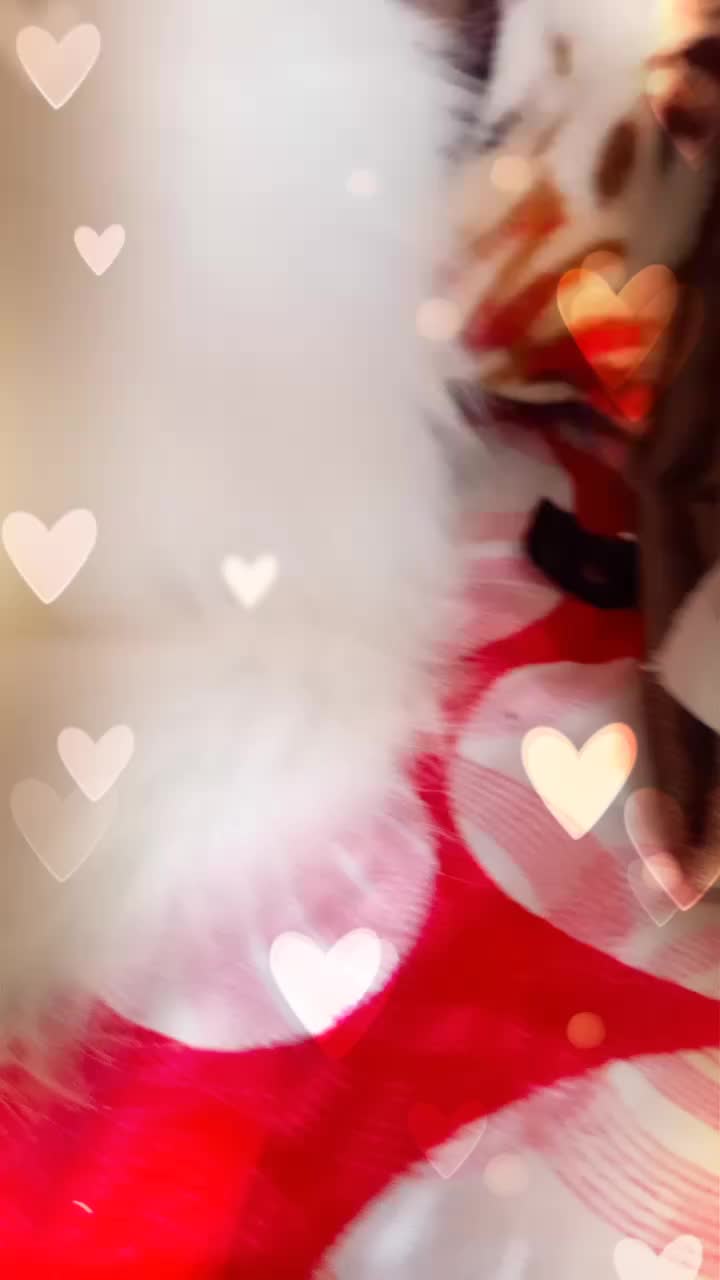 @@@@@@@@
