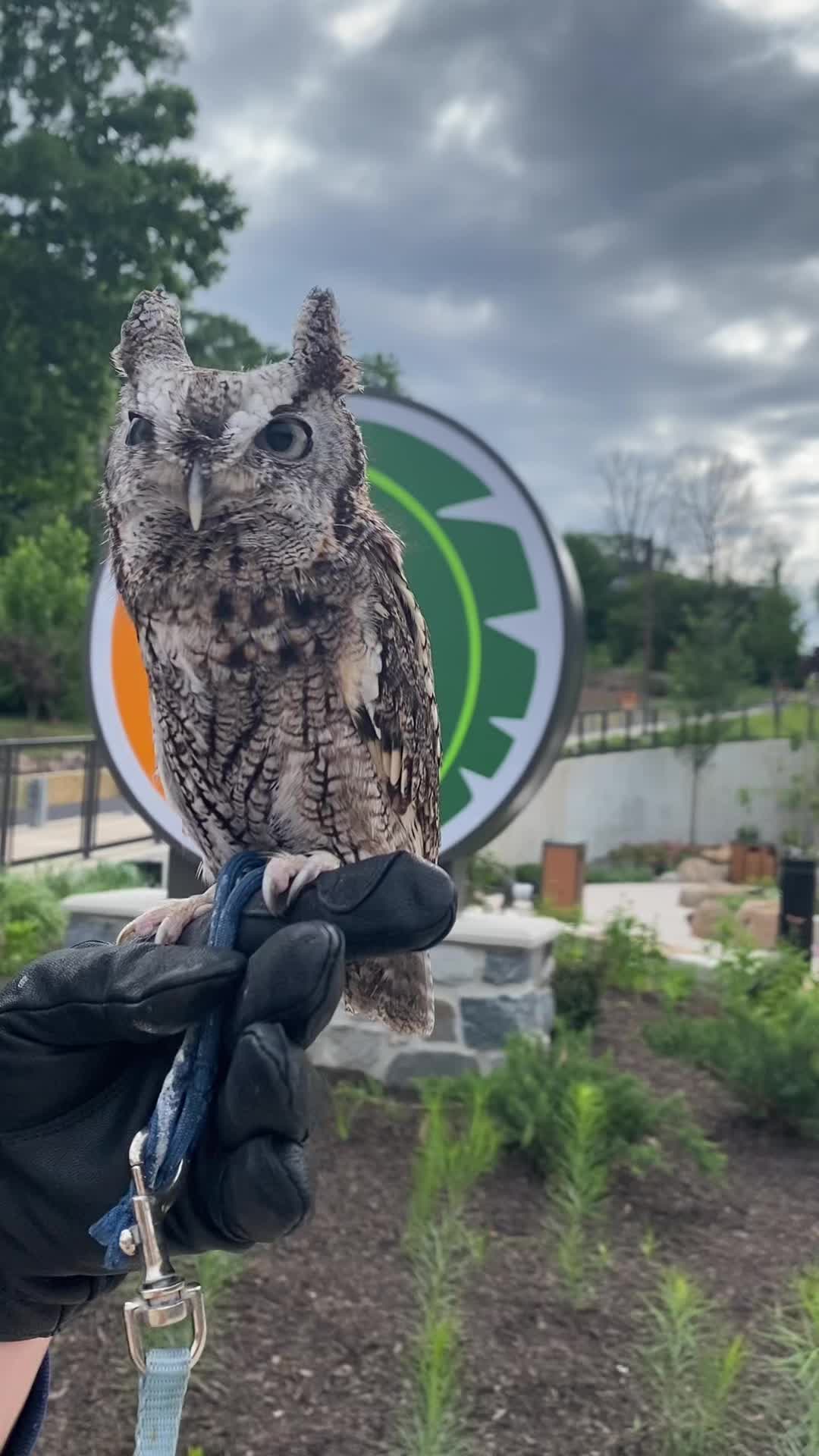@Elmwood Park Zoo