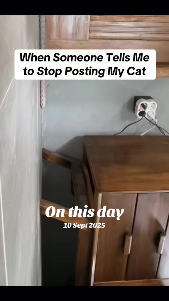 @momof_six