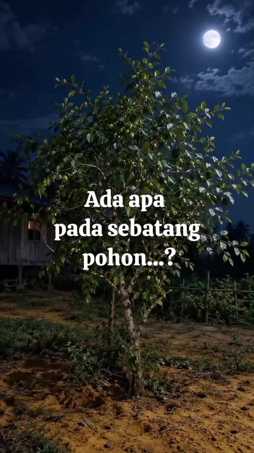 @DyzMayaHanz47