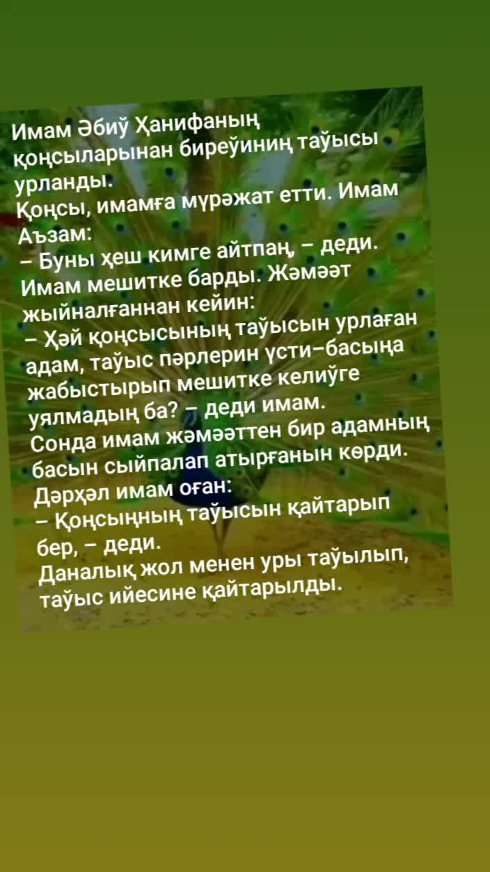 @Гульчи Казбекова