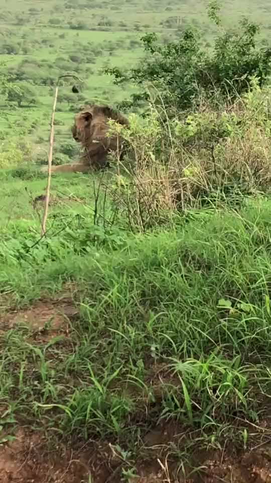 @nikunj kathrotiya