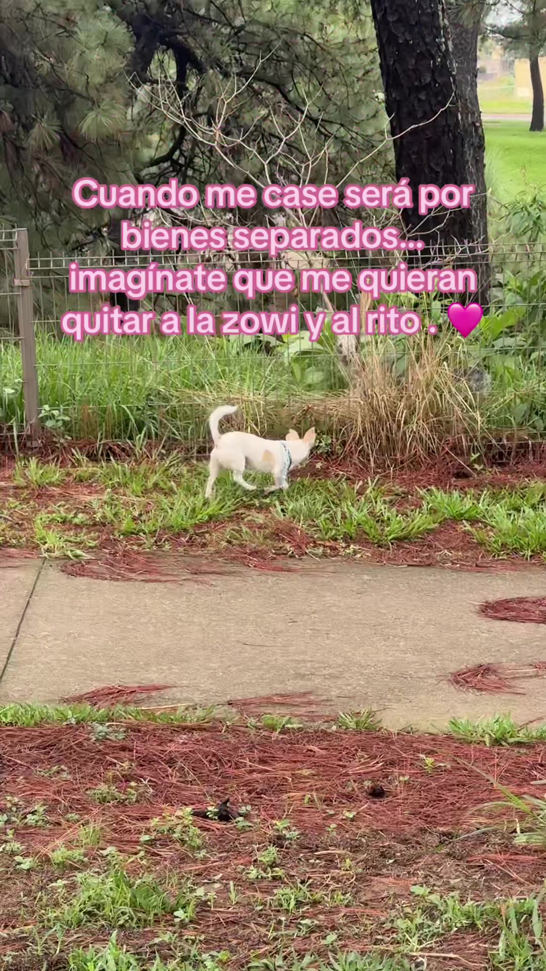 @Solamente Moramay
