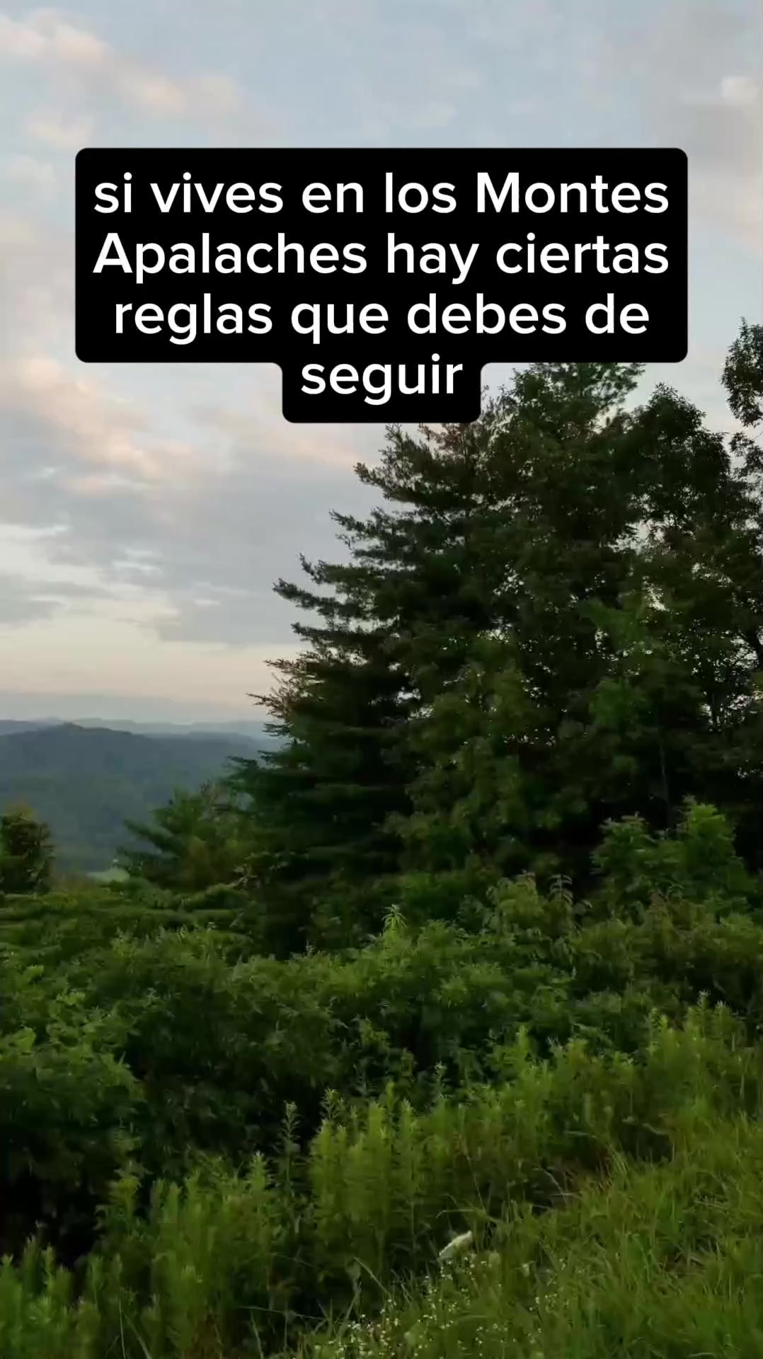 @Archivos del Misterio