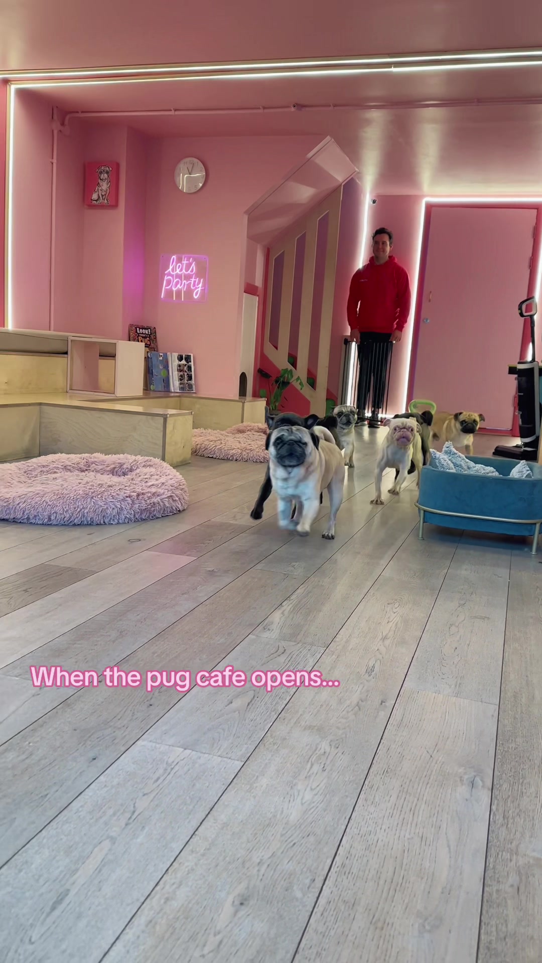 @CuppaPug