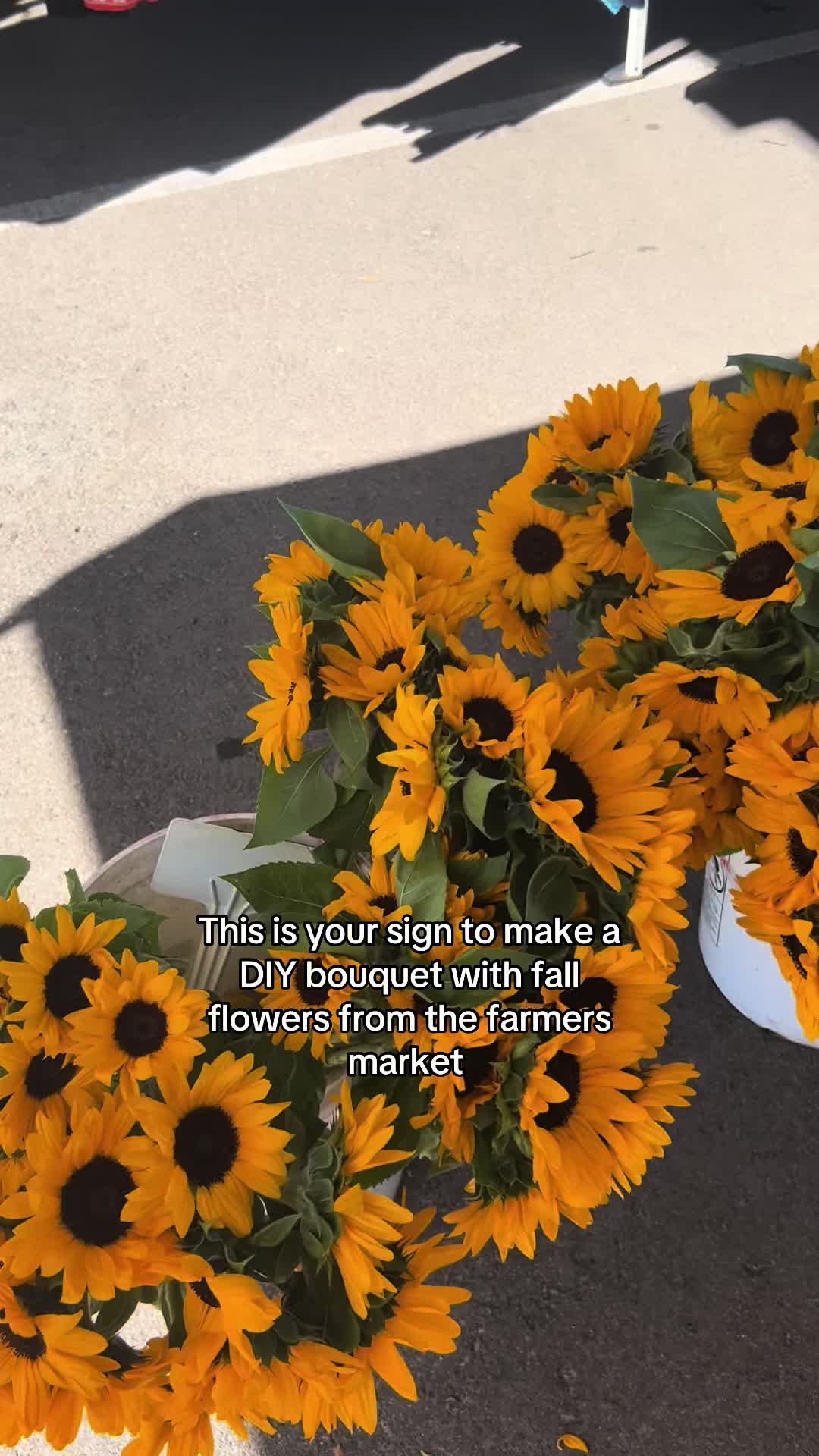 @gardeninginoside