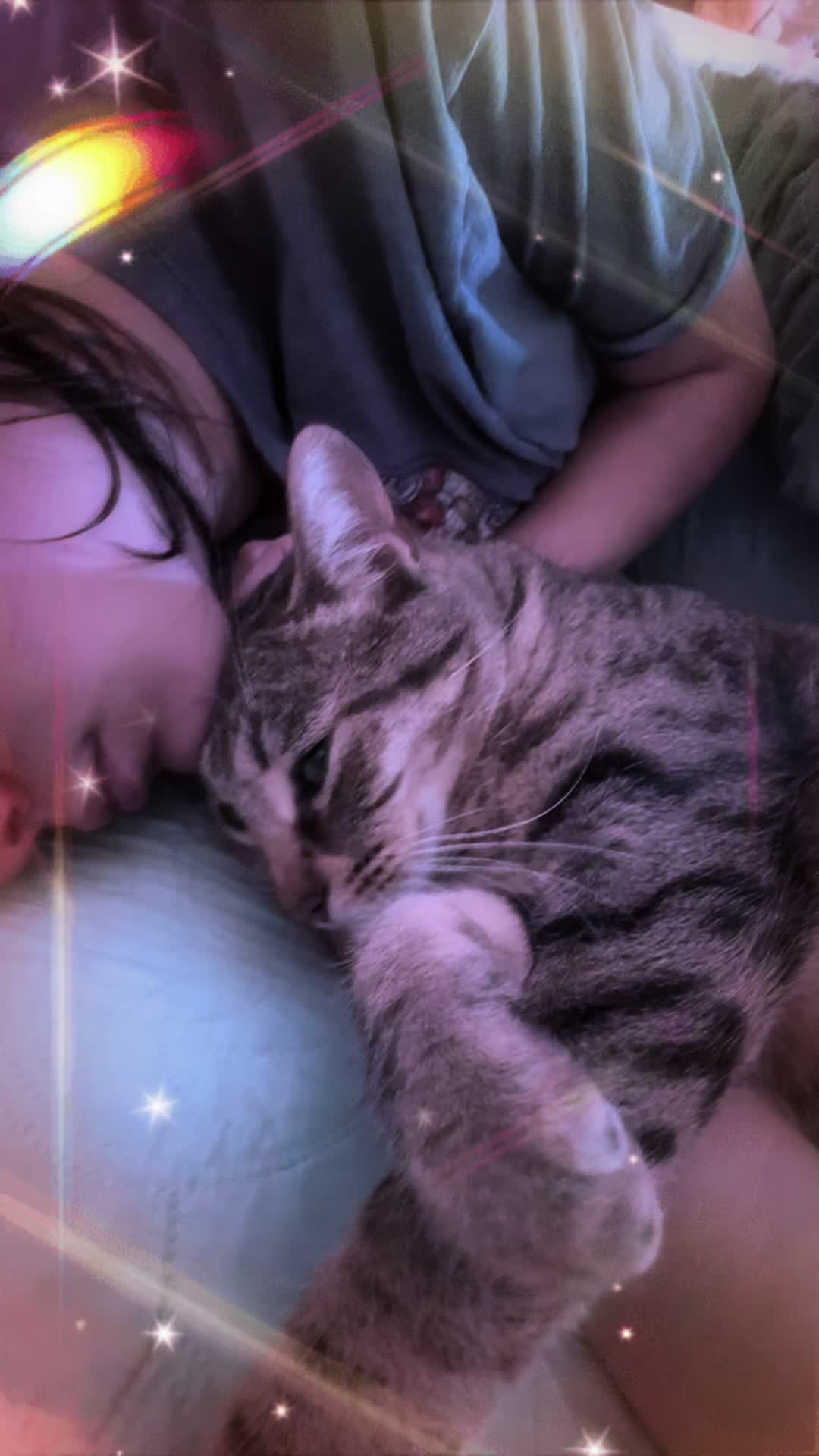 @Tokio Drift The Cat
