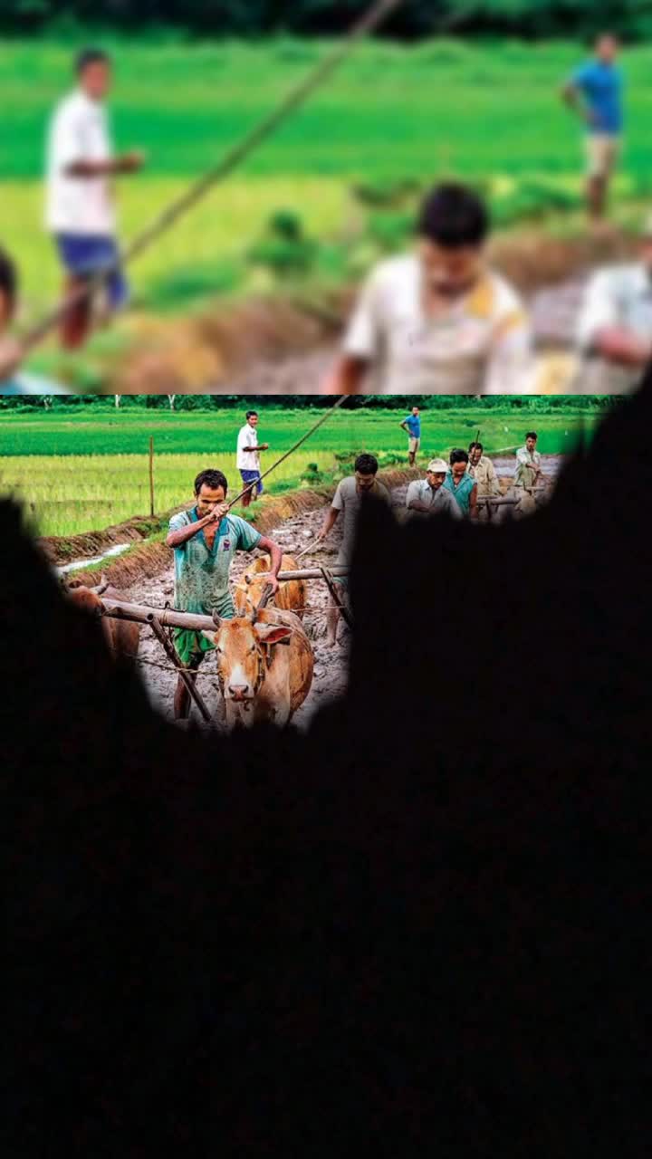 @Bhanu Yadav