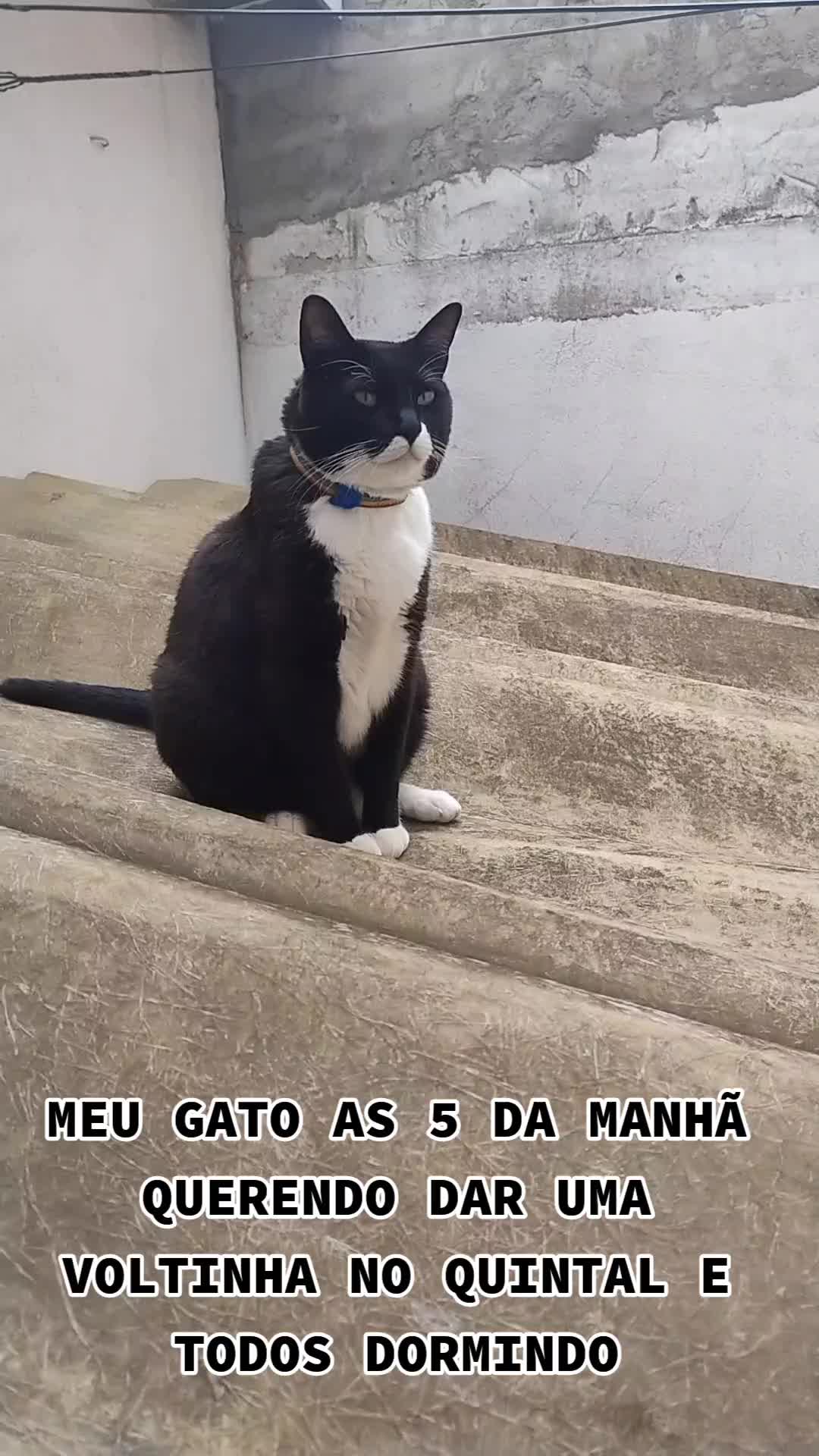 @Bruno Rodrigues