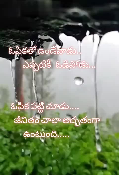 @vizagboy Sunny