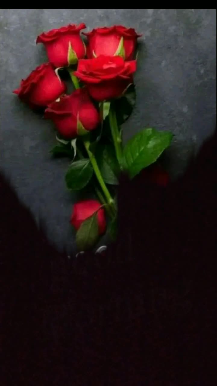 @Amit Kumar