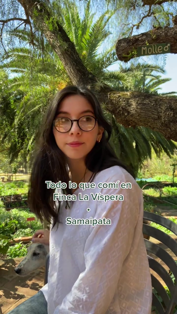 @Valentina Seigelschifer