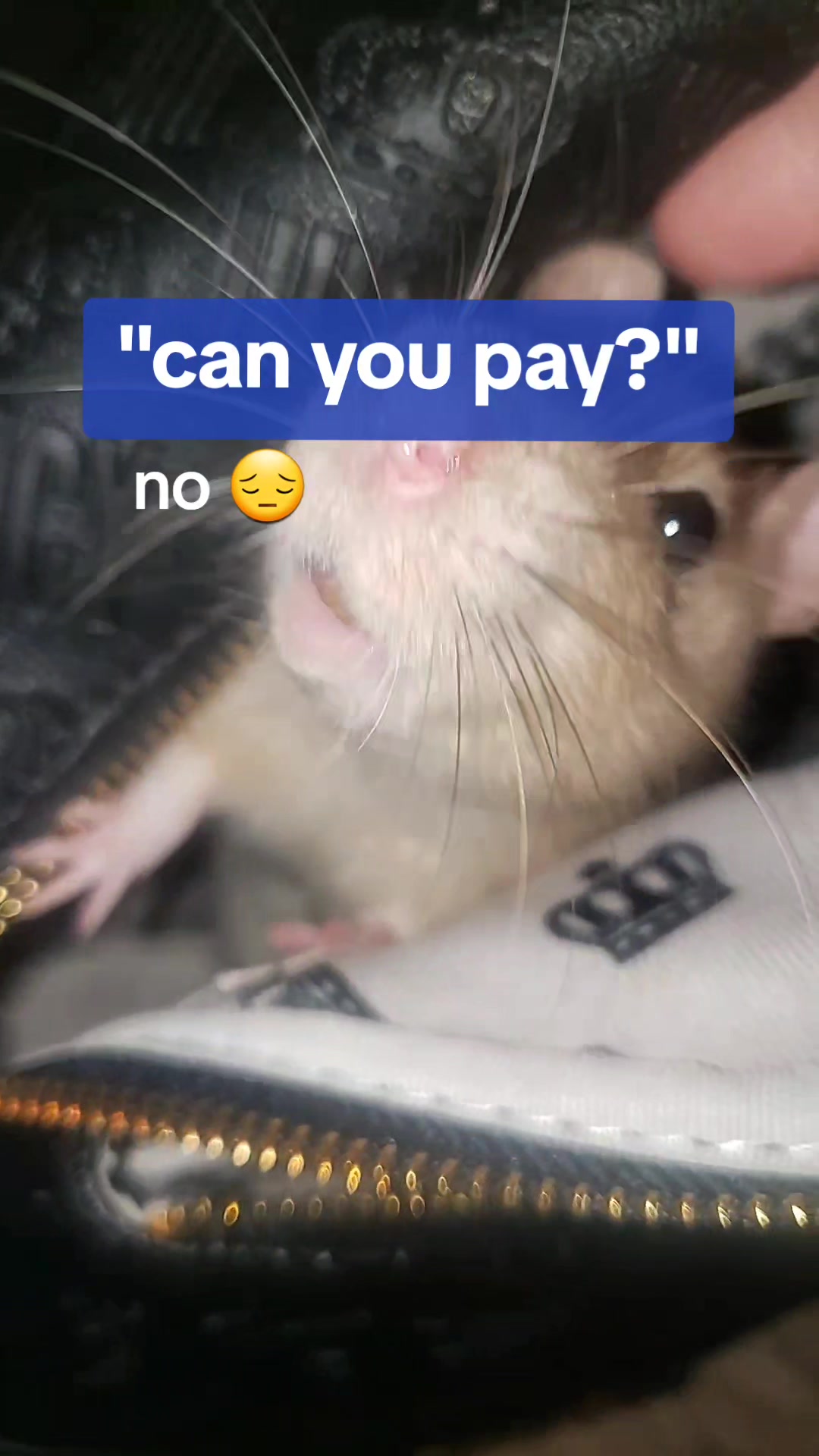 @jake ⛵