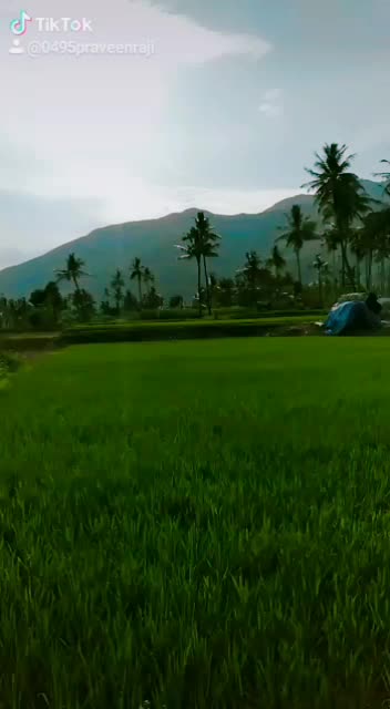 @user1819964826337