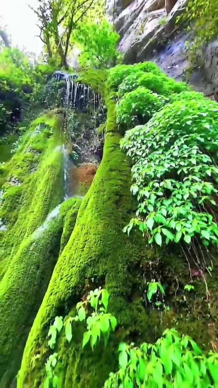 @Natural scenery