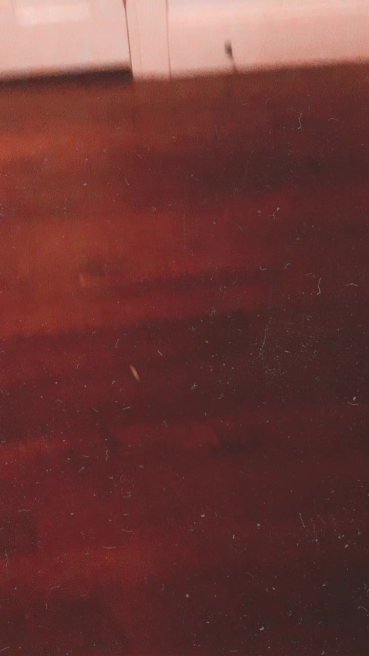 @⠀ ⠀ ⠀ ⠀ ⠀ ⠀