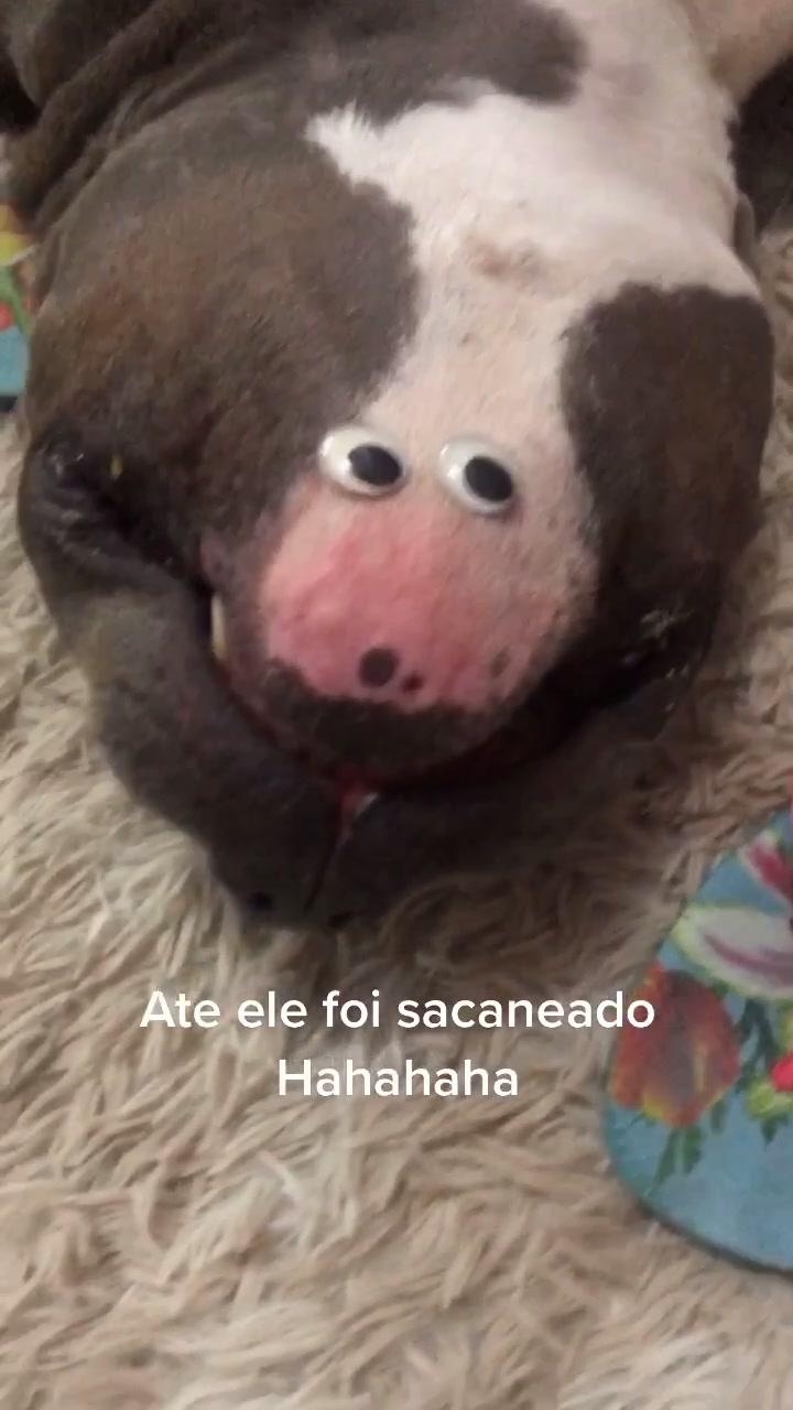 @Pamela Machado