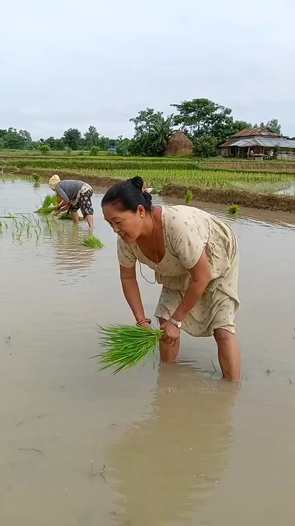 @Bhadra Shrestha882