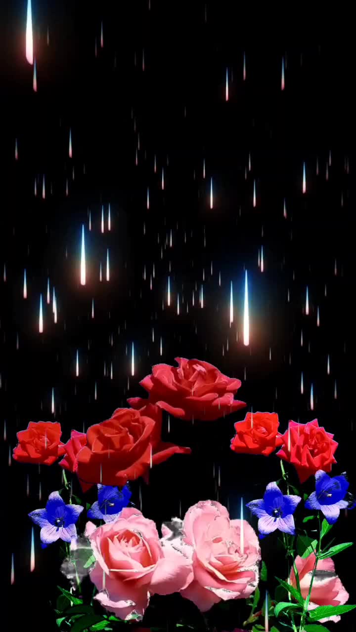 @sahabuddin05_Ansari